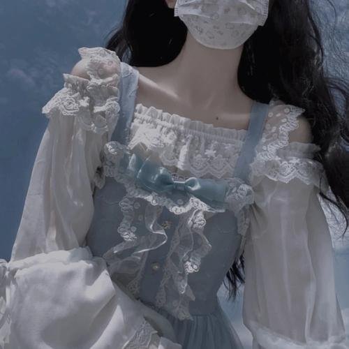 摄影师贝尔蒂与海豚零距离